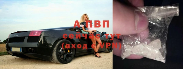 прущие грибы Алексеевка
