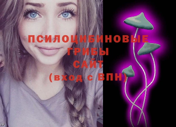гашиш Абаза
